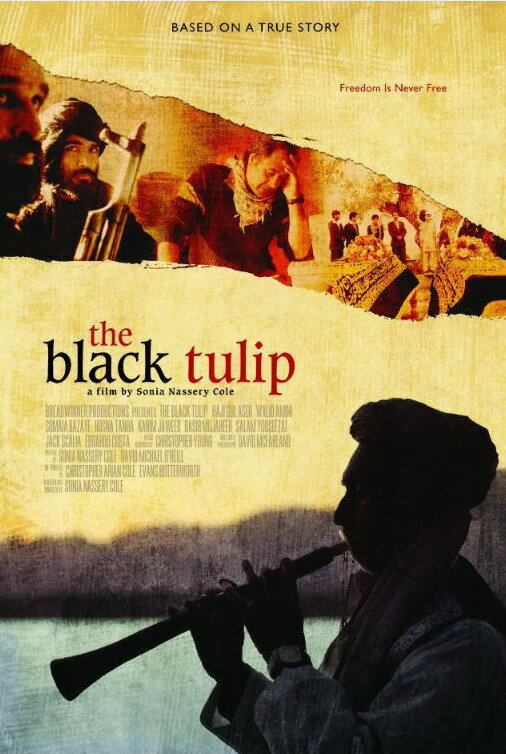 Черный тюльпан (2010) постер