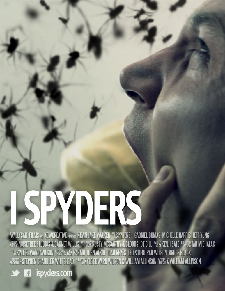 I Spyders (2012) постер
