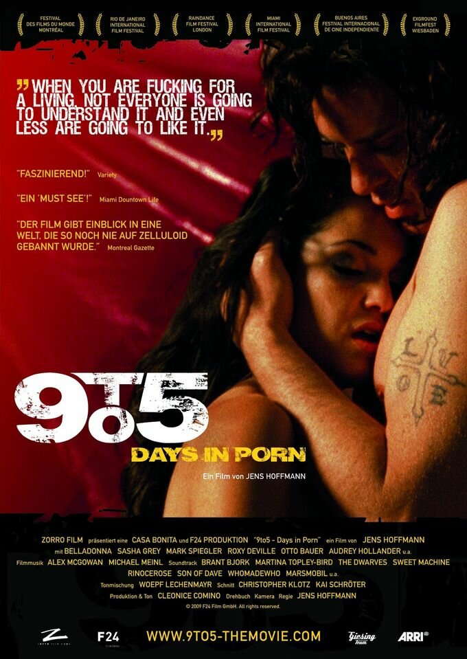С девяти до пяти: Рабочие будни порнозвезды (2008) постер
