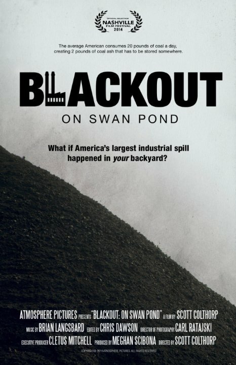 Blackout: On Swan Pond (2014) постер