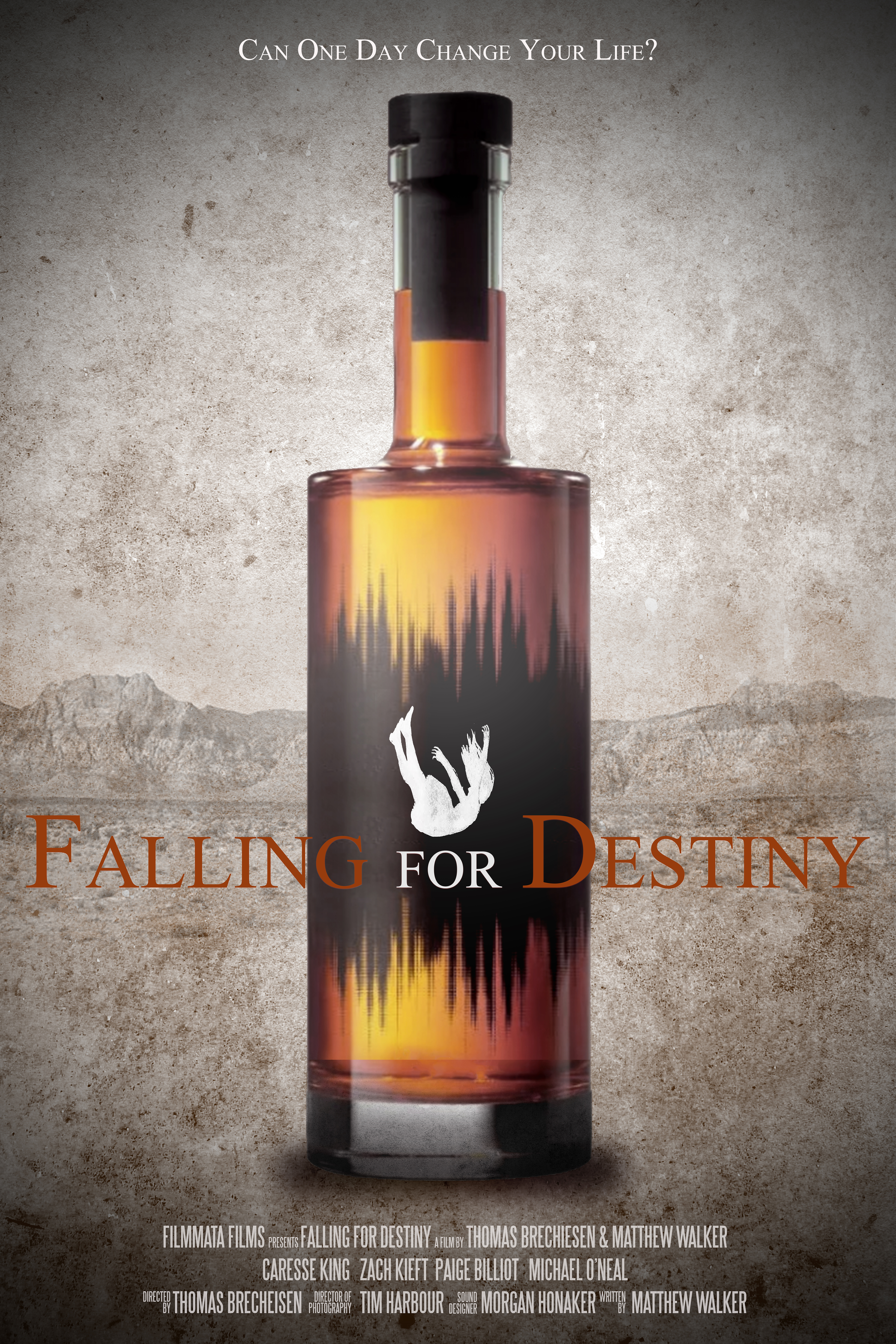 Falling for Destiny (2020) постер