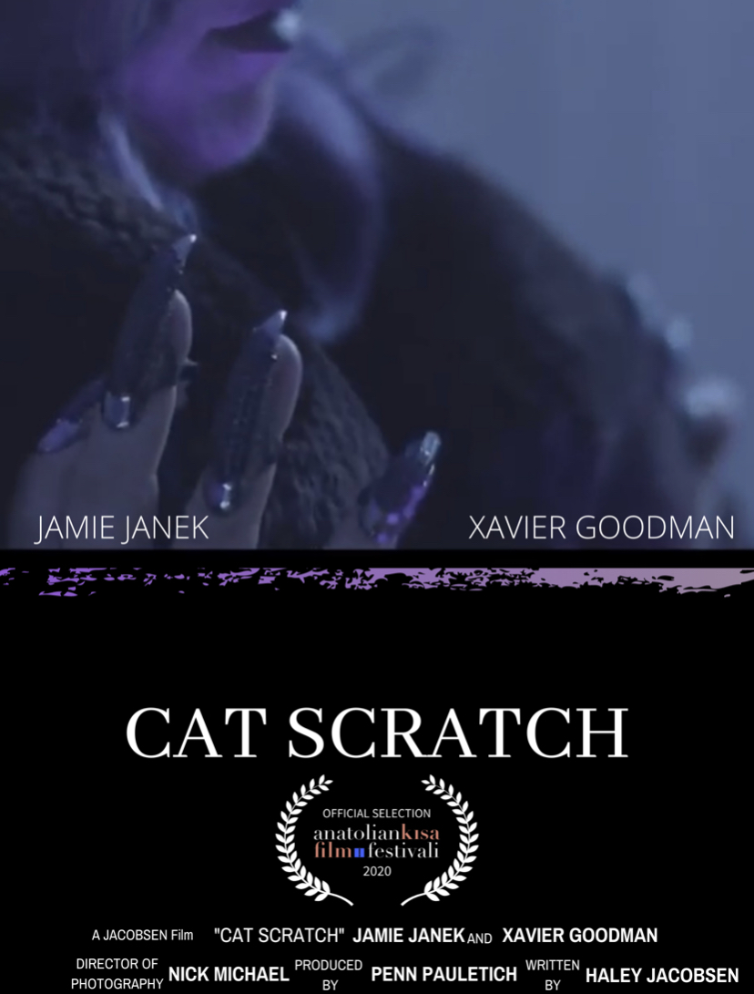 Cat Scratch (2020) постер