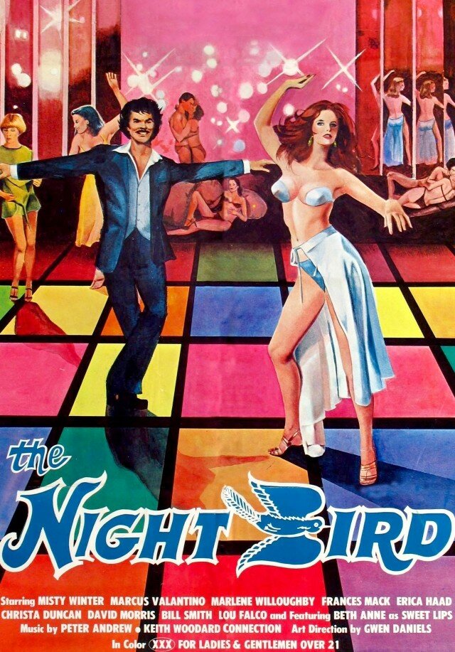 The Night Bird (1977) постер