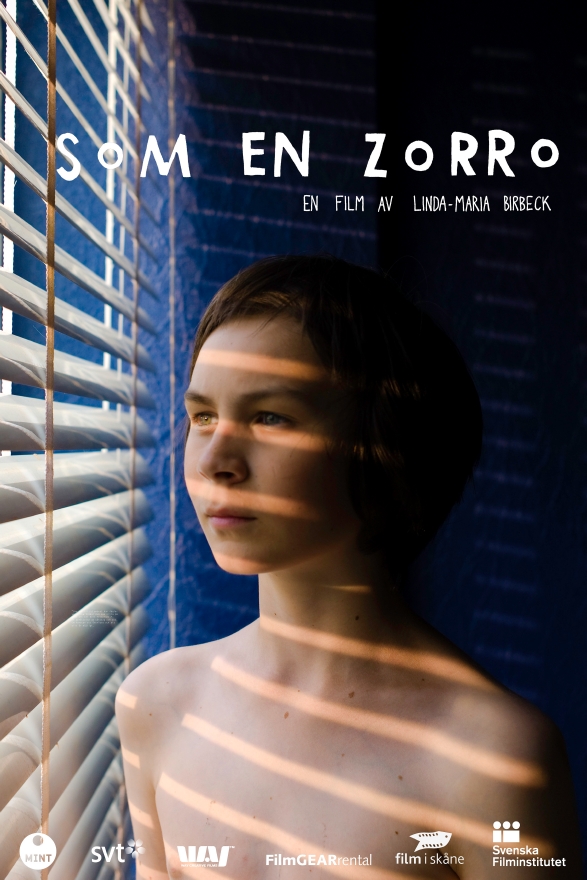 Som en Zorro (2012) постер