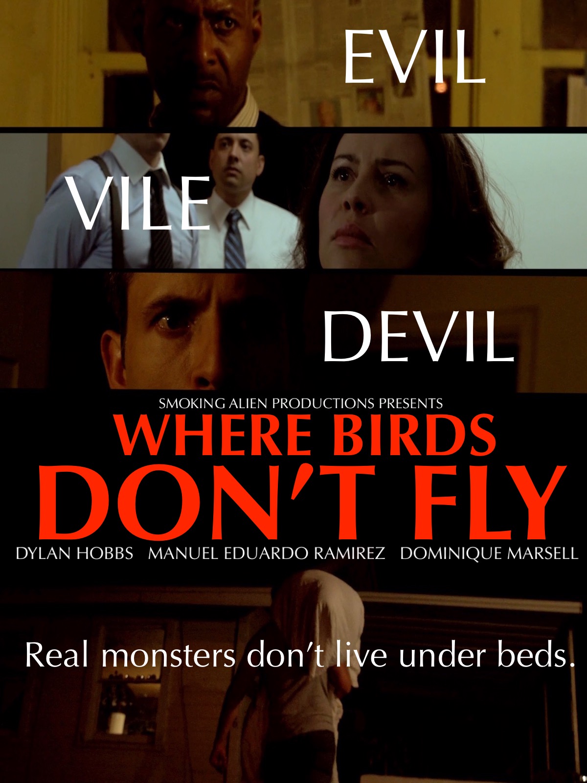 Where Birds Don't Fly (2017) постер