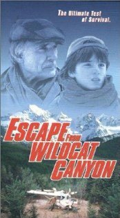 Побег из каньона дикой кошки (1998) постер
