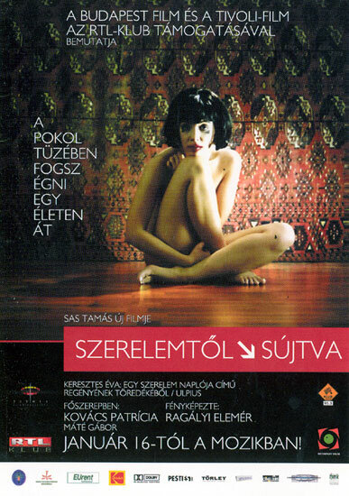 Наказанная любовью (2003) постер
