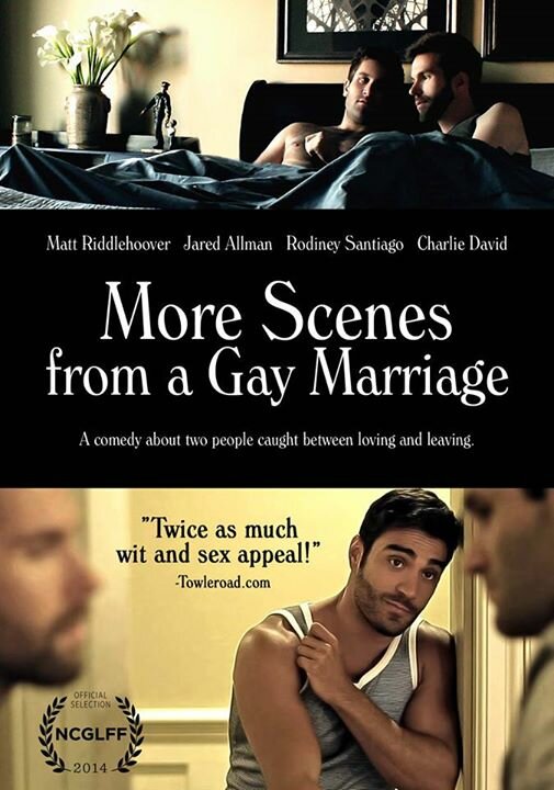 Еще сцены из гей-брака (2014) постер