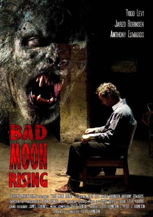 Bad Moon Rising (2010) постер