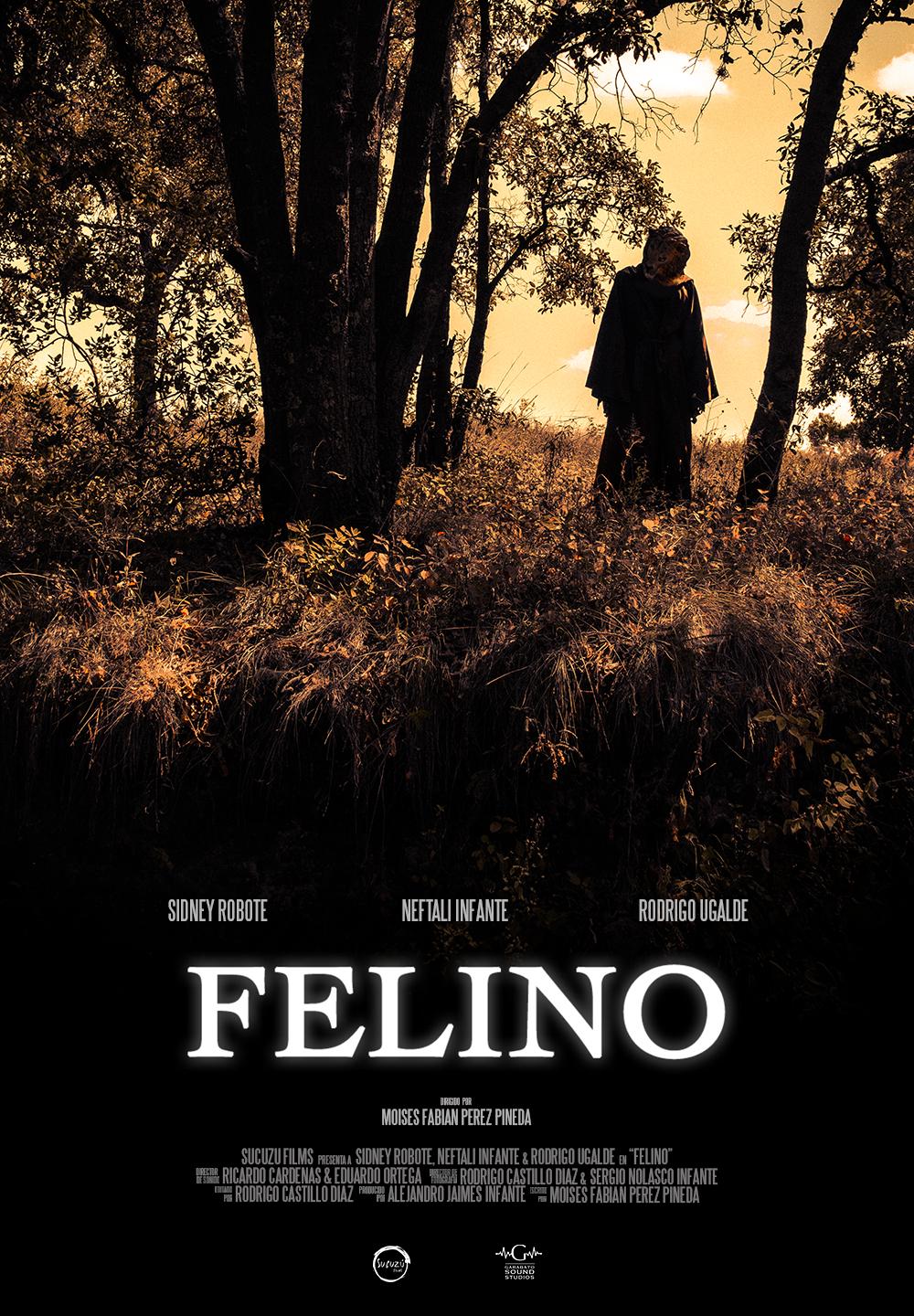 Felino (2020) постер