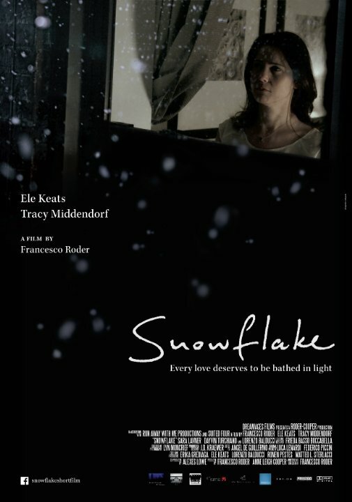 Snowflake (2014) постер