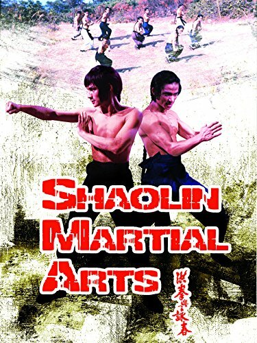 Боевые искусства Шаолиня (1974) постер