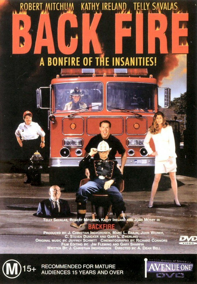 Огненный вопль (1995) постер