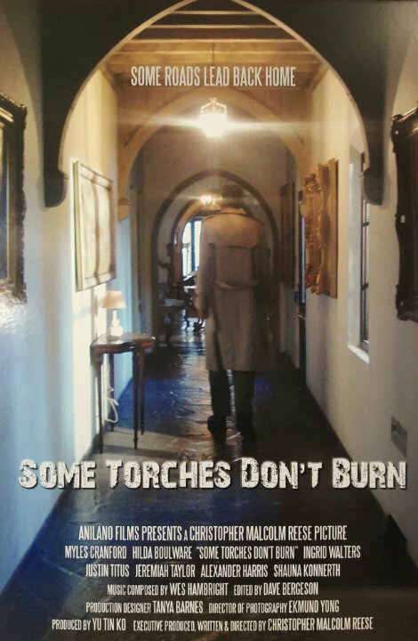 Some Torches Don't Burn (2015) постер