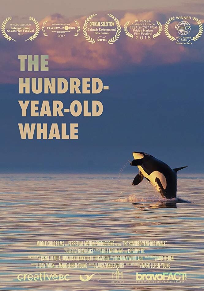 The Hundred Year Old Whale (2017) постер