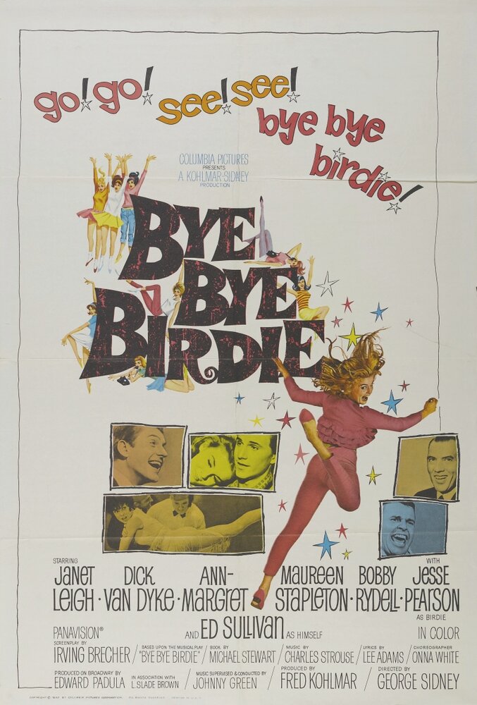 Пока, пташка (1963) постер