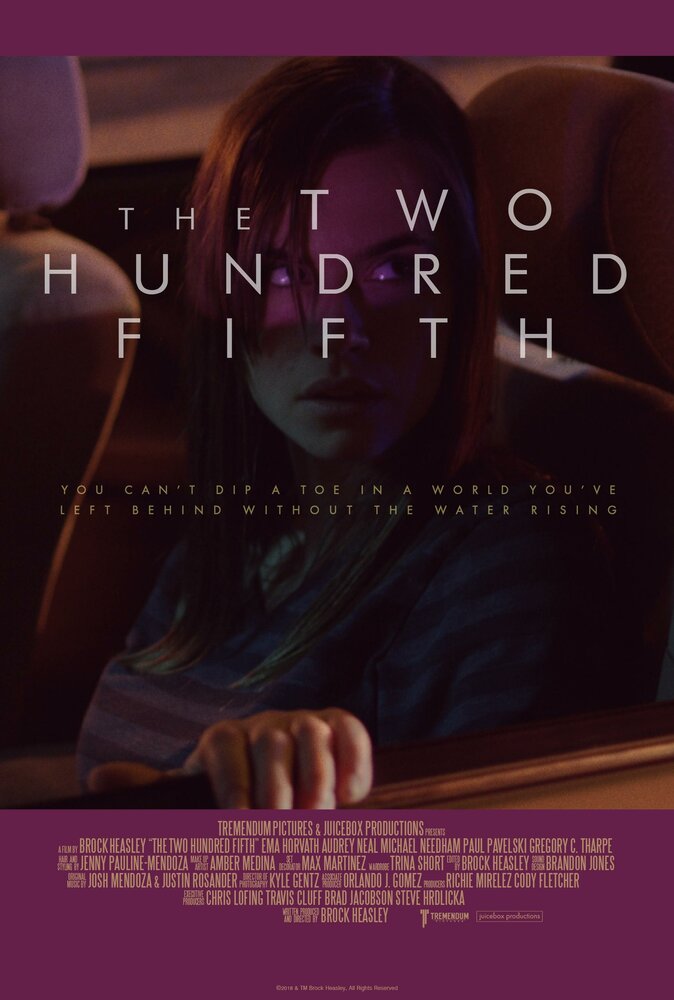 The Two Hundred Fifth (2019) постер