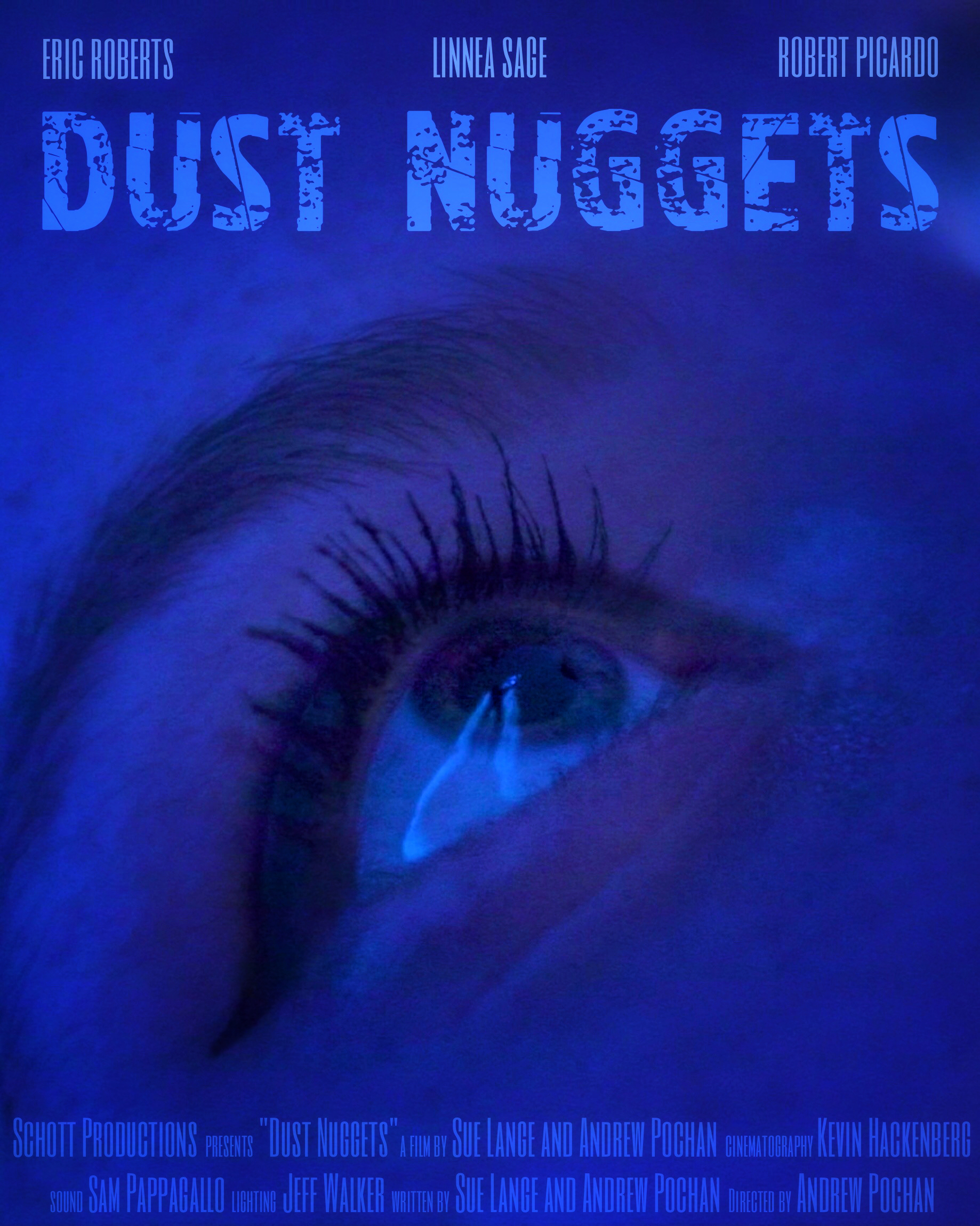 Dust Nuggets (2020) постер