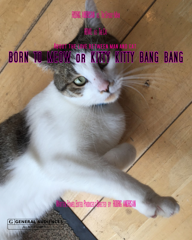 Born to Meow or Kitty Kitty Bang Bang (2020) постер